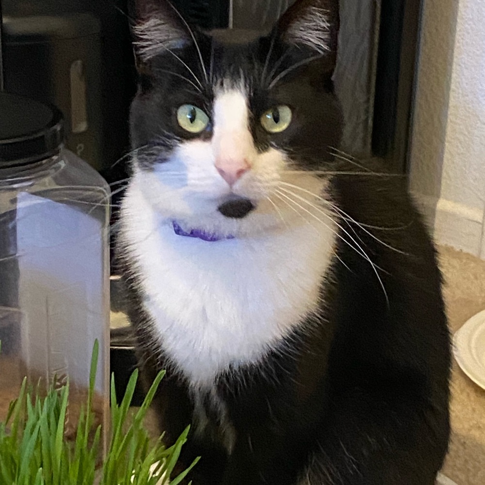 Mostly a buyer/browser, sometimes a seller :).